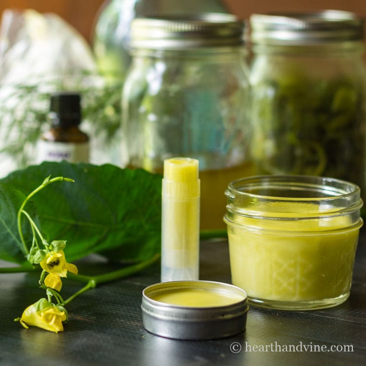 Jewelweed salve is easy to make and may aid irritated skin from poison ivy and bug bites. Learn more about identifying and preserving this helpful plant.