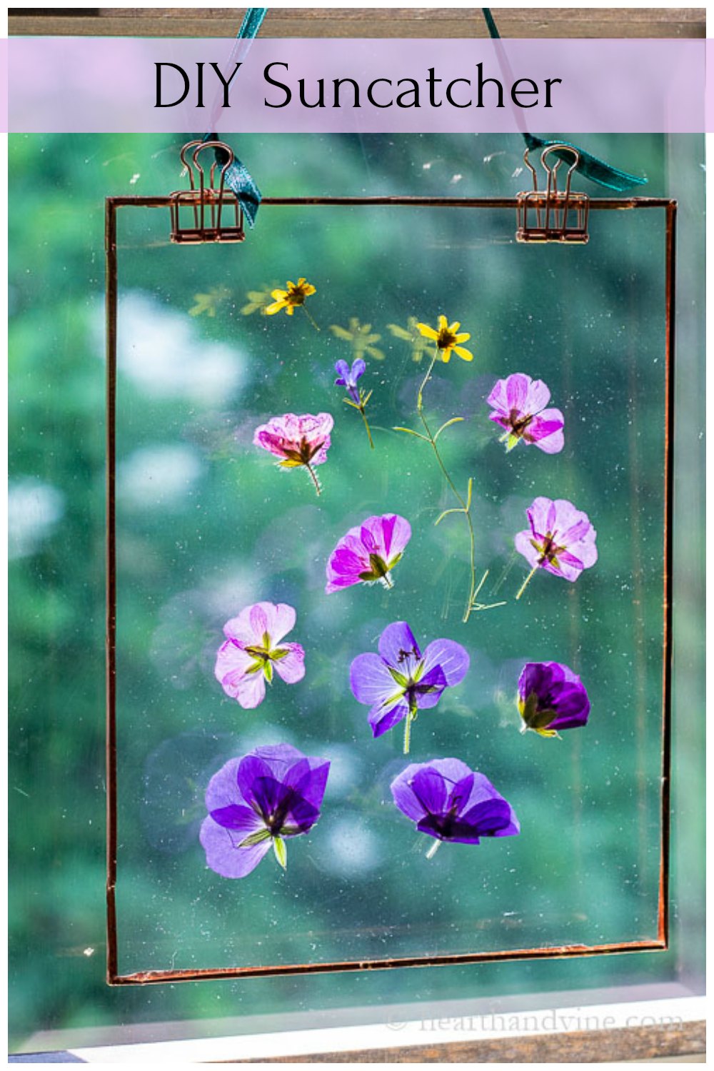 Easy DIY Pressed Flower Suncatcher - Sprouting Wild Ones