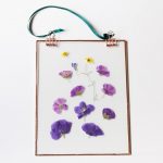 Flowers pressed between glass and hung.