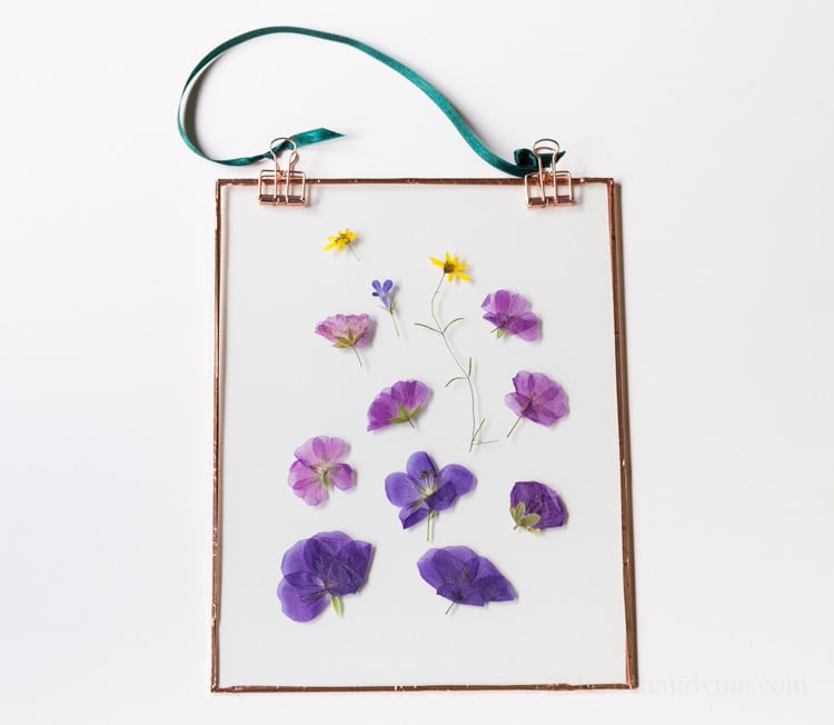 Flowers pressed between glass and hung.