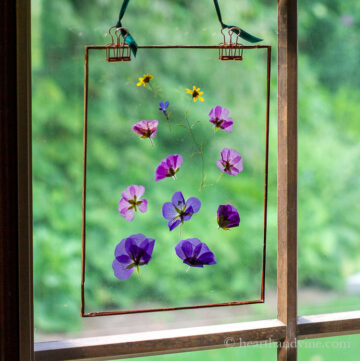 Pressed flower suncatcher hanging in a window.