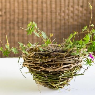 Make a grapevine basket planter.