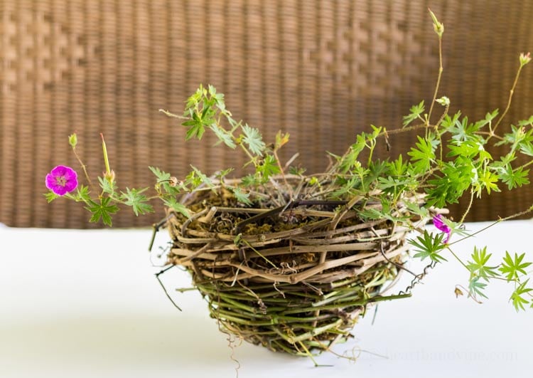 Make a grapevine basket planter.