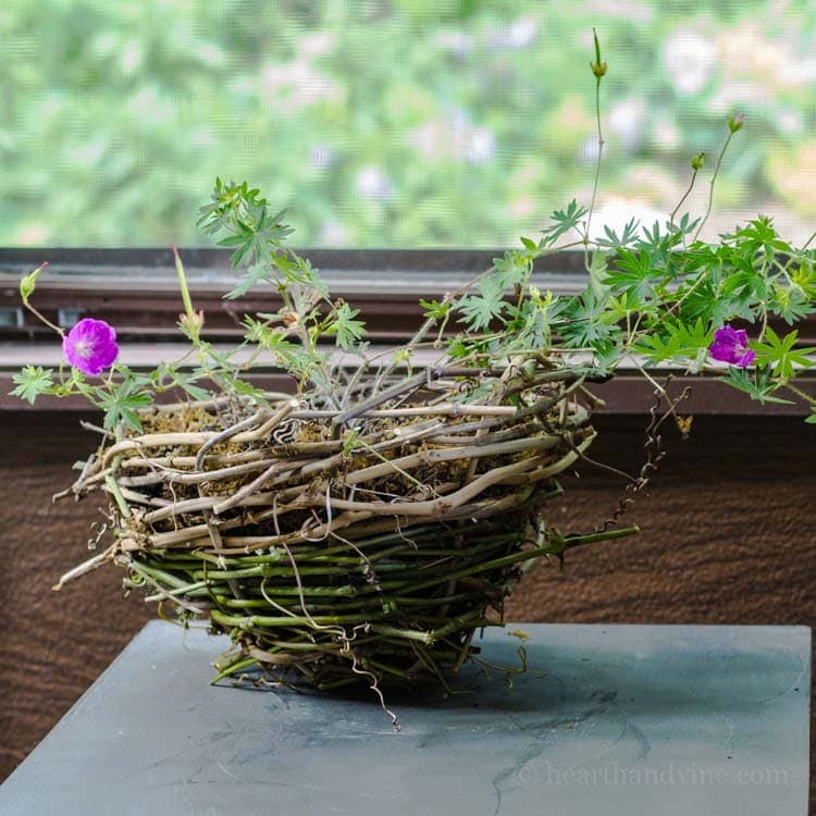 Handmade rustic grapevine basket planter.