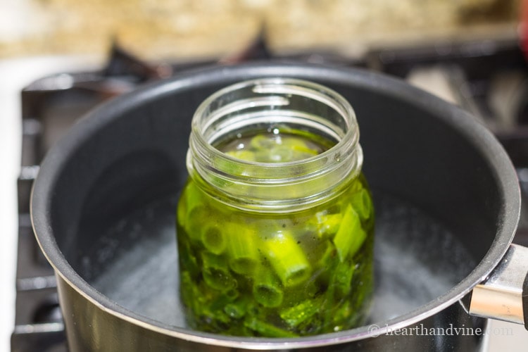 Hot infusion of jewelweed and olive oil.