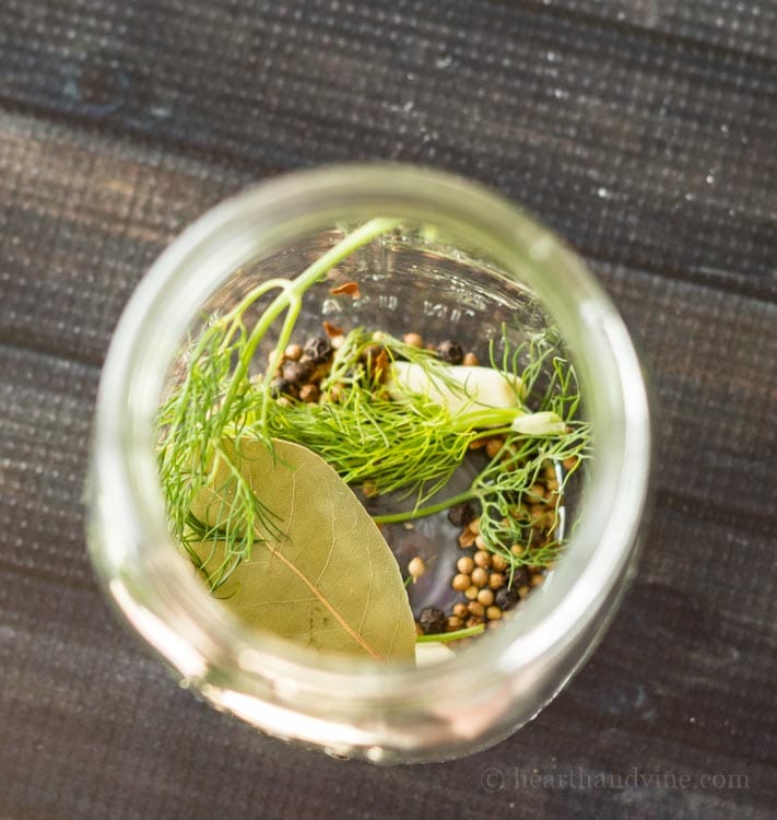 Spices for pickling in a mason jar