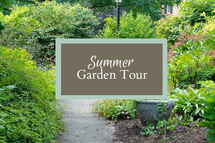 Summer garden tour for Tuesdays in the Garden.