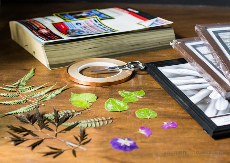 Pressed flower suncatcher materials.