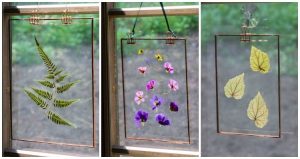 Pressed flower suncatcher trio in window.