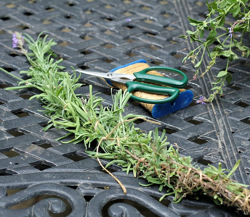 Lavender cuttings wrapped with twine into  fire starter bundle