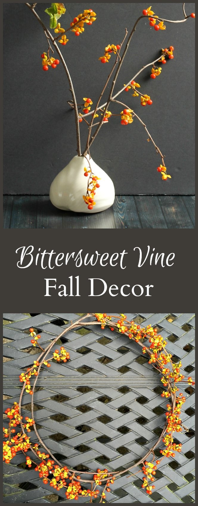 Beautiful Bittersweet Vine: Decorating with Nature | Hearth and Vine