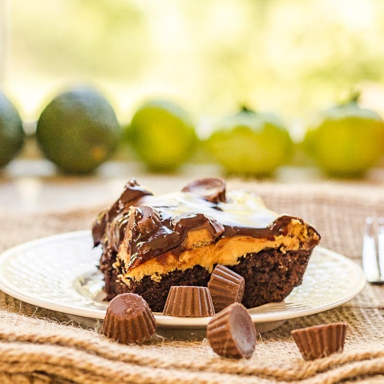 Slice of chocolate peanut butter cake with Reese's cups.