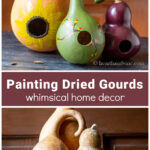 Three colorful birdhouse gourds over natural gourds.