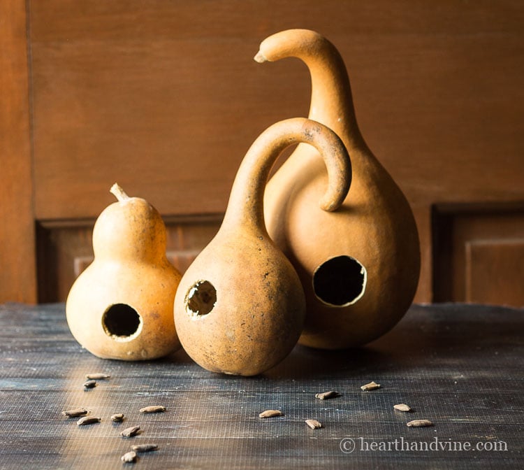 Dried gourds with holes cut in the side to look like a birdhouse.