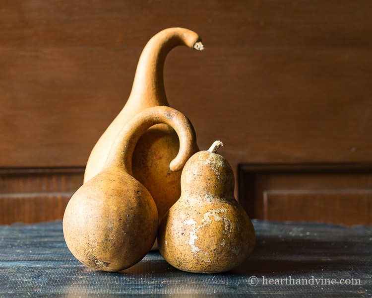 Three dried gourds