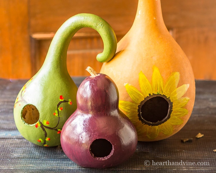 Three painted gourd for a decorative birdhouse look.