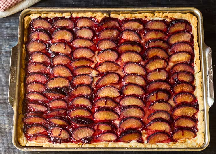 Spiced plum slab pie from the oven