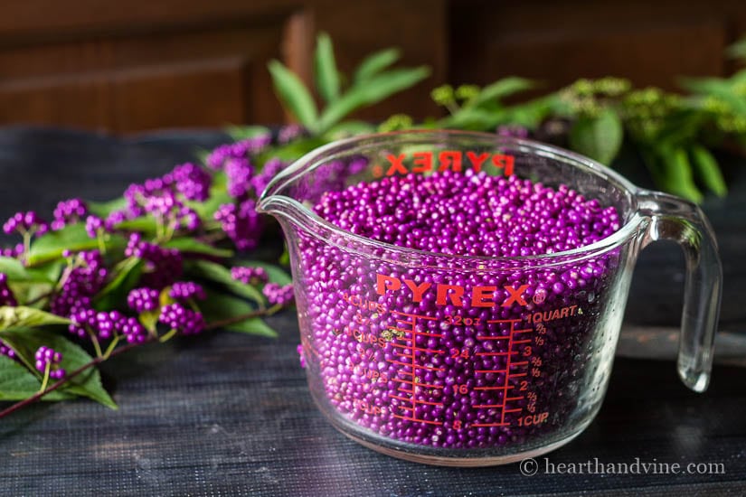 Beauty berry jelly quart of berries.