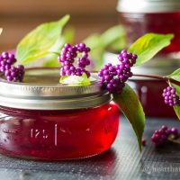 Beautyberry Jelly