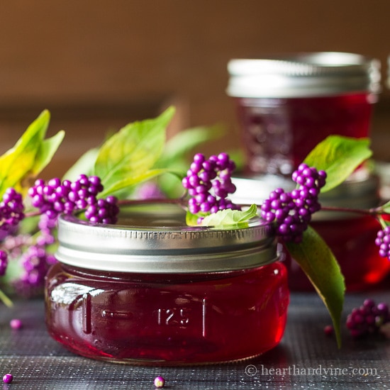 Beauty berry jelly made from this wonderful American native shrub.