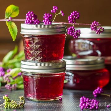 Beautyberry jelly can be made from the native American Beautyberry shrub and makes a stunning sweet gift for everyone on your list.