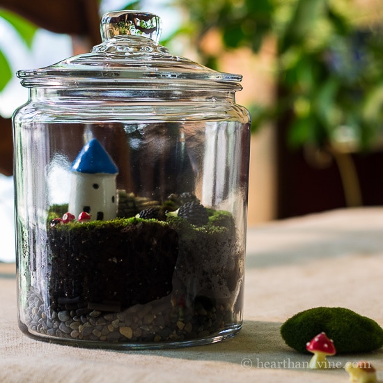 How to decorate with moss in your garden