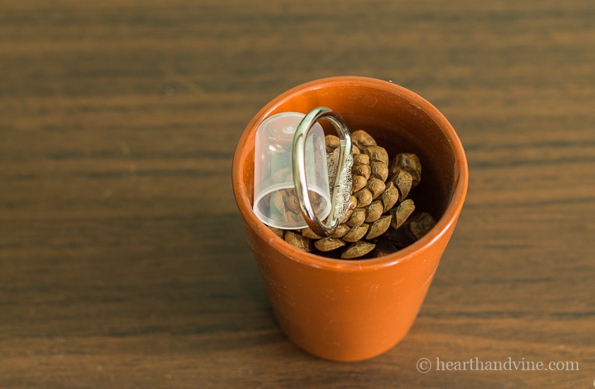 Pine cone napkin rings drying in a cup