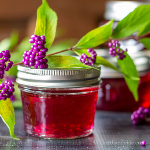 Small mason jar of beautyberry jelly with fresh berries on branches in the background.