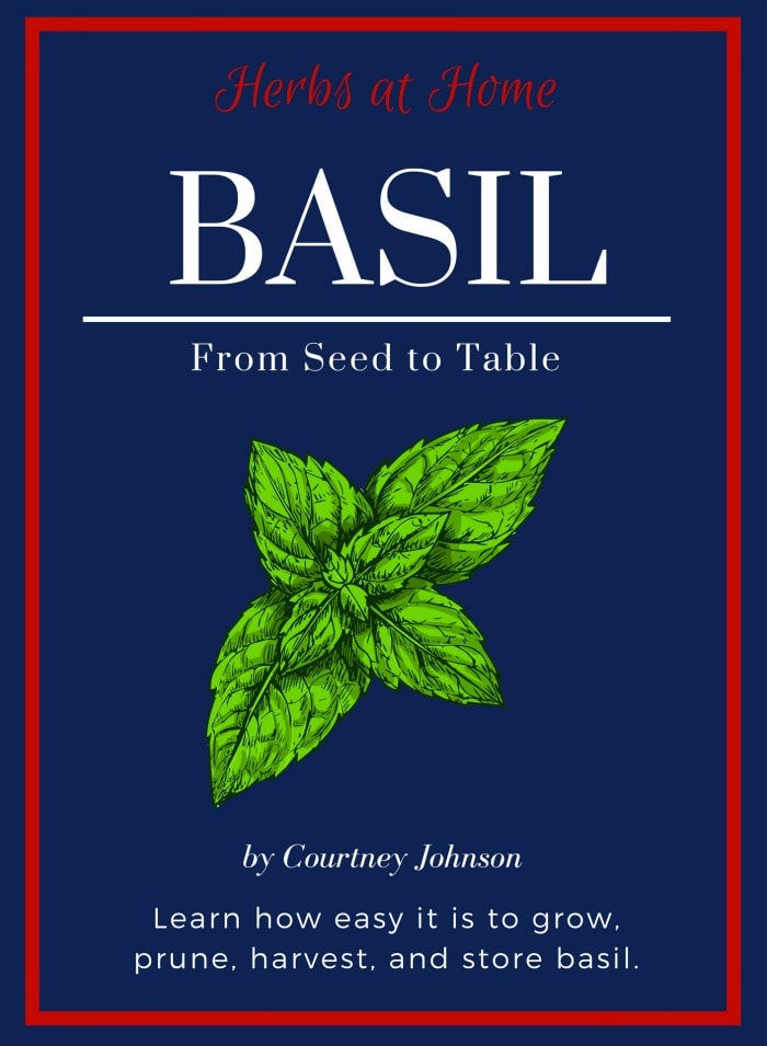 Growing Basil book review