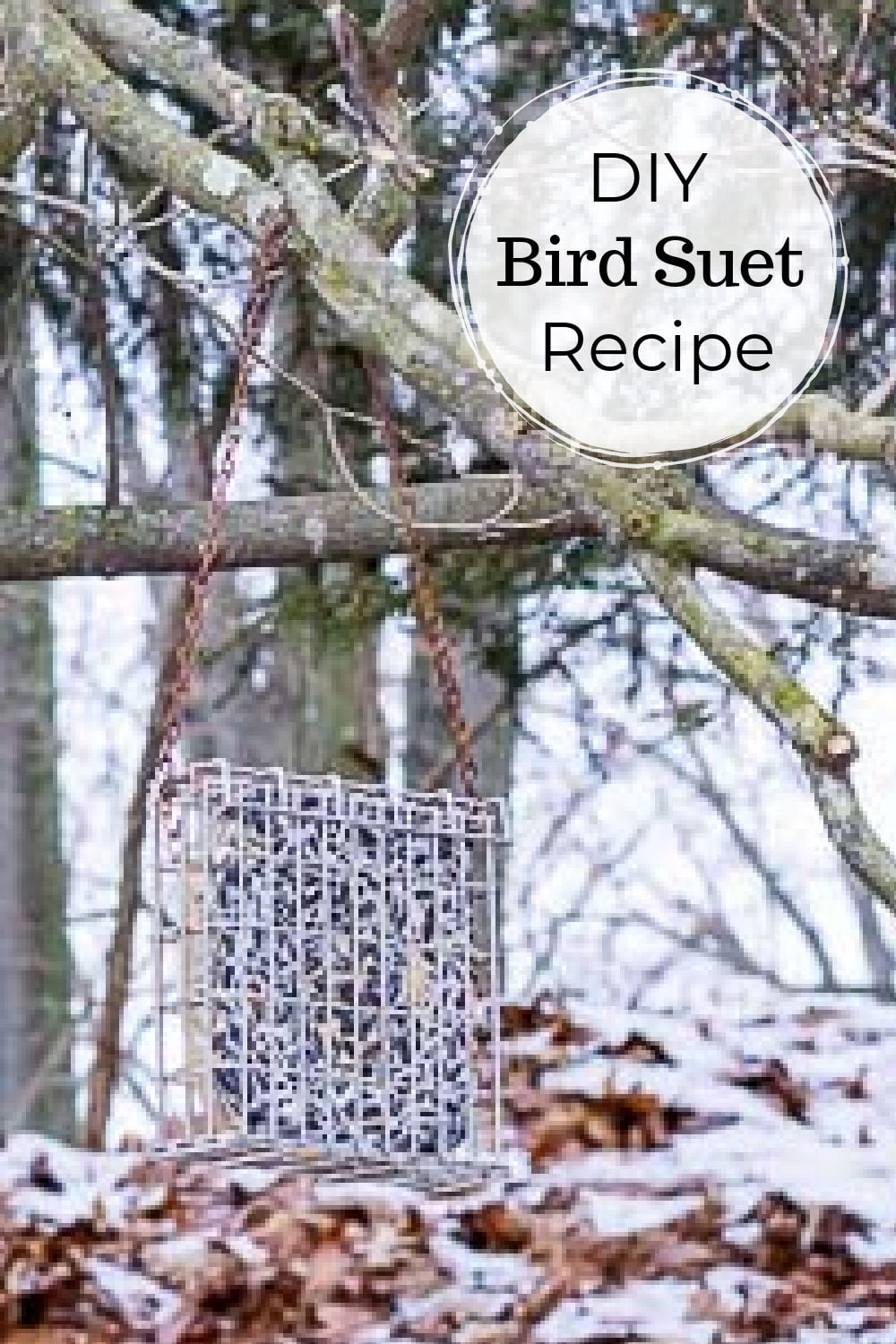 Homemade Suet Cakes for Birds - Tips, Ideas and Recipes