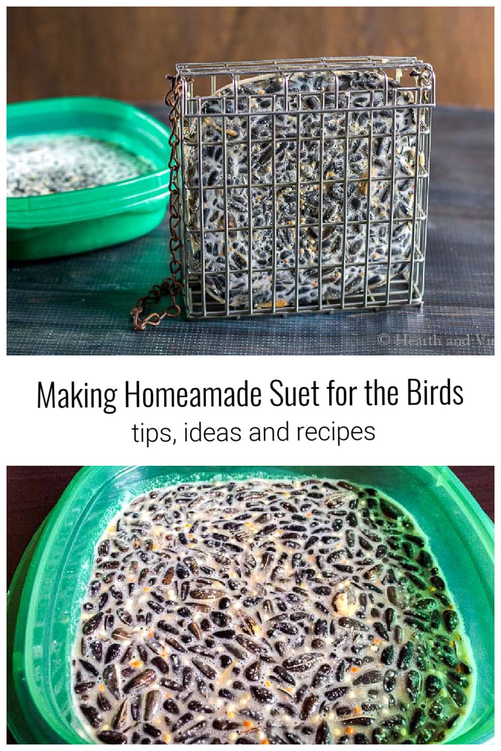 Homemade Suet Cakes for Birds Tips, Ideas and Recipes