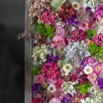 Close partial view of a frame with dried flowers all over.