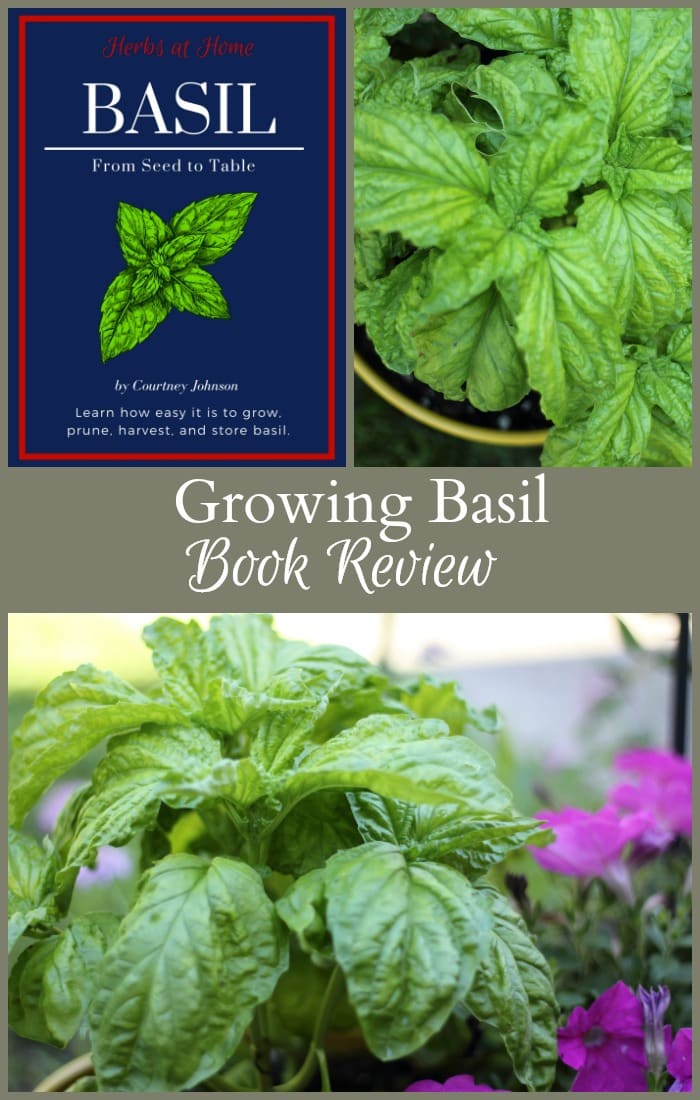 Growing Basil and More New Book Review and Giveaway Hearth and Vine