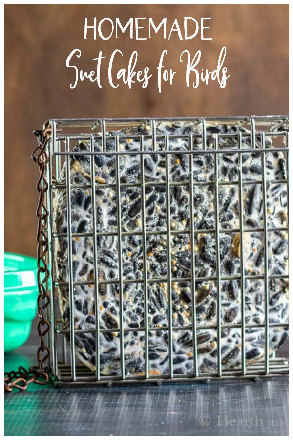 Homemade Suet Cakes Helping the Birds in Winter