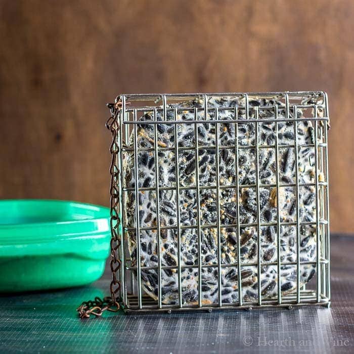 Homemade suet cakes in cage.