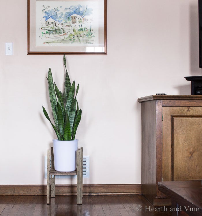 Modern plant stand in living area.