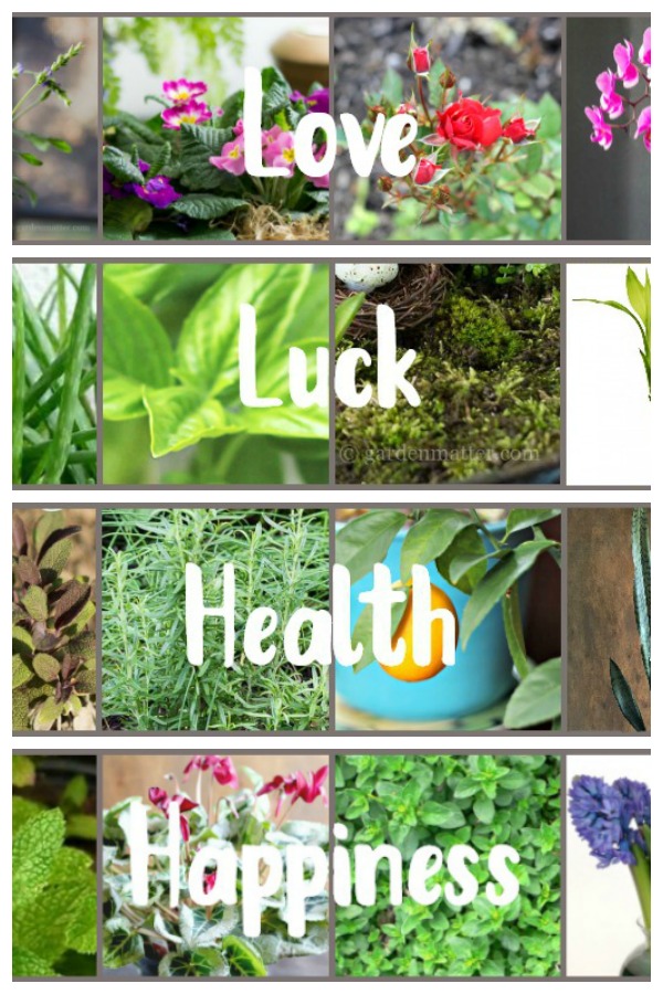 Houseplant Symbolism For Love, Luck, Health & Happiness Gardening