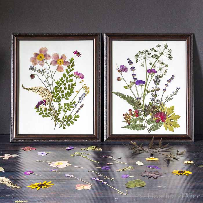 Pressed Flower Art Pictures So Easy