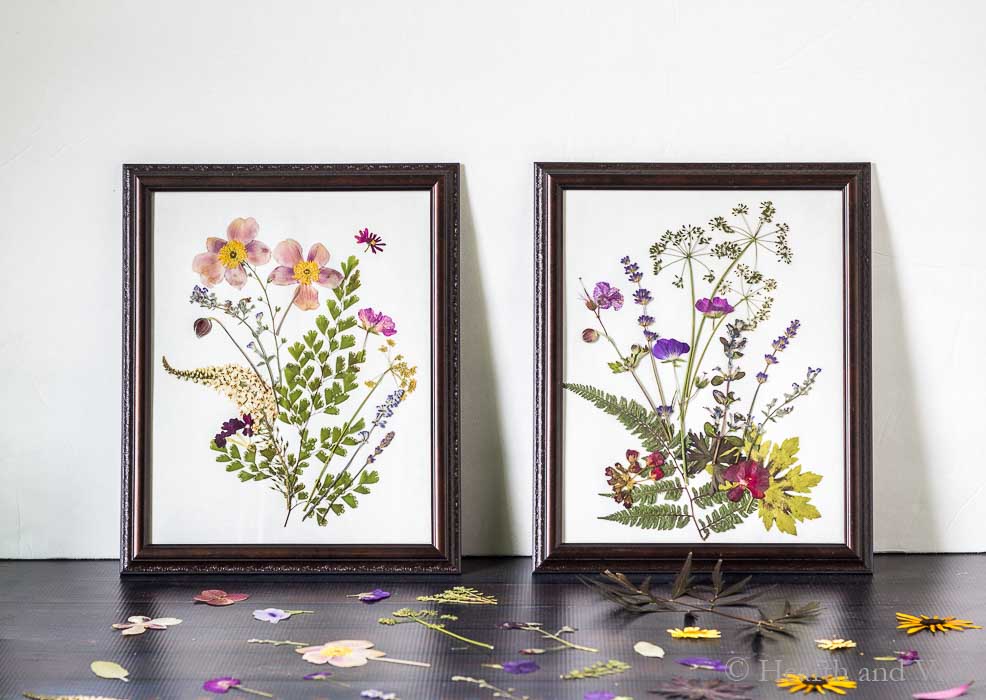 Pressed flower art in two frames with white background.