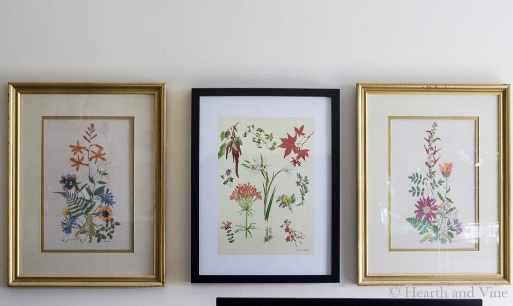 Gold framed pressed flower prints on wall.