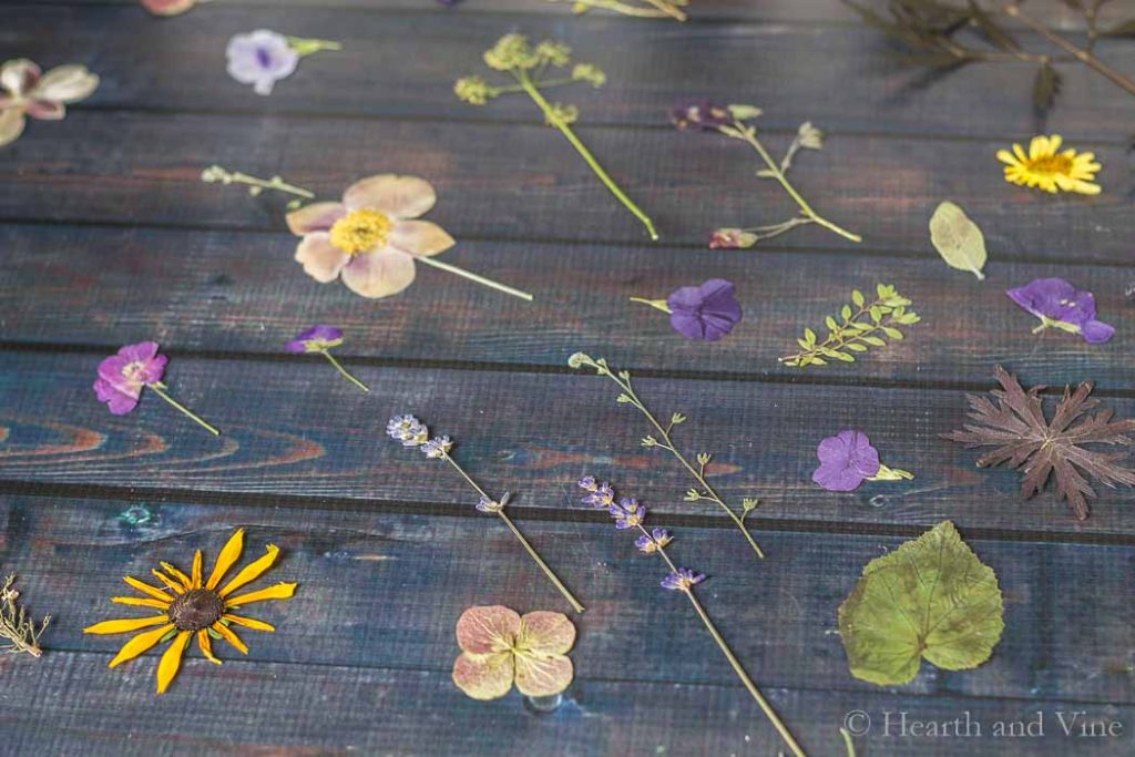 Pressed flowers on table.