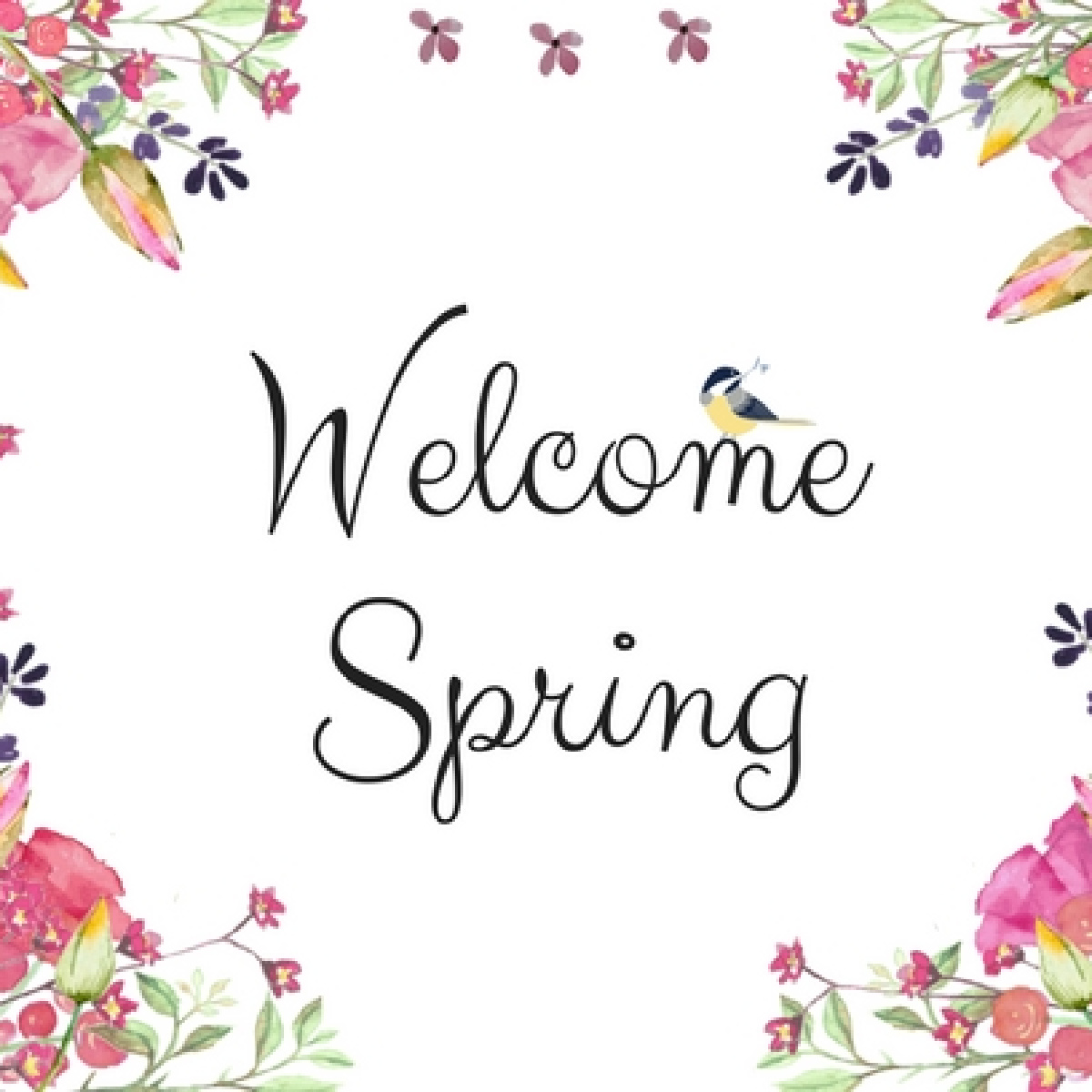 Welcome spring sign in square format.