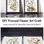 Two framed pressed flower art over paper with pressed flowers arranged.