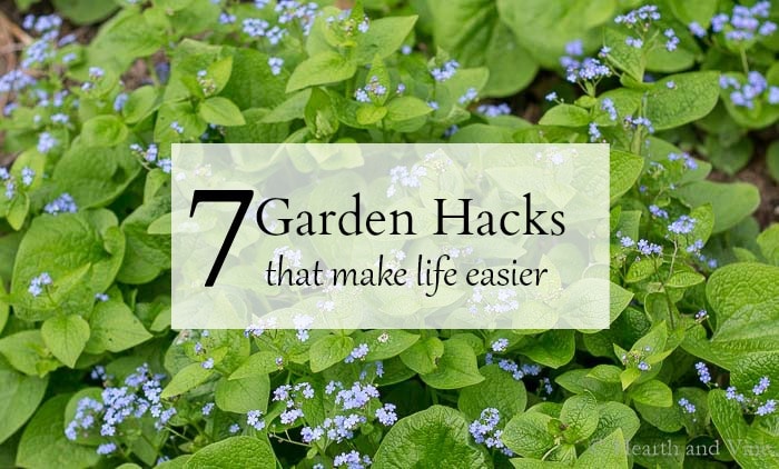7 garden hacks overlay with brunnera