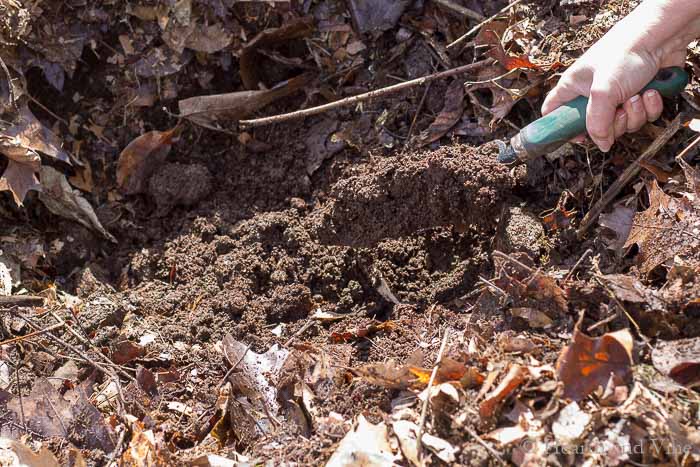 Trowel digging up compost
