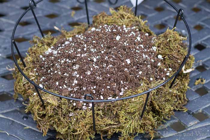 Filling basket part way with moss then soil