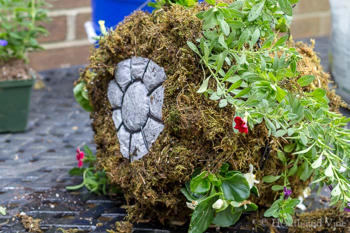 View of plastic on bottom of moss planter