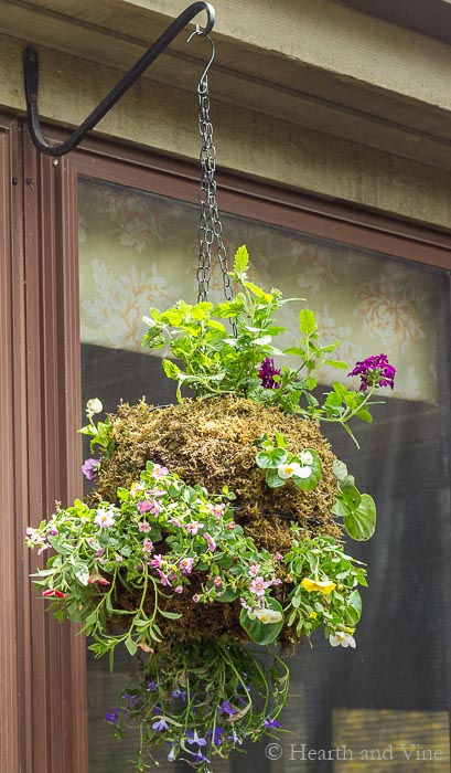 Hanging globe planter with wire baskets and sphagnum moss