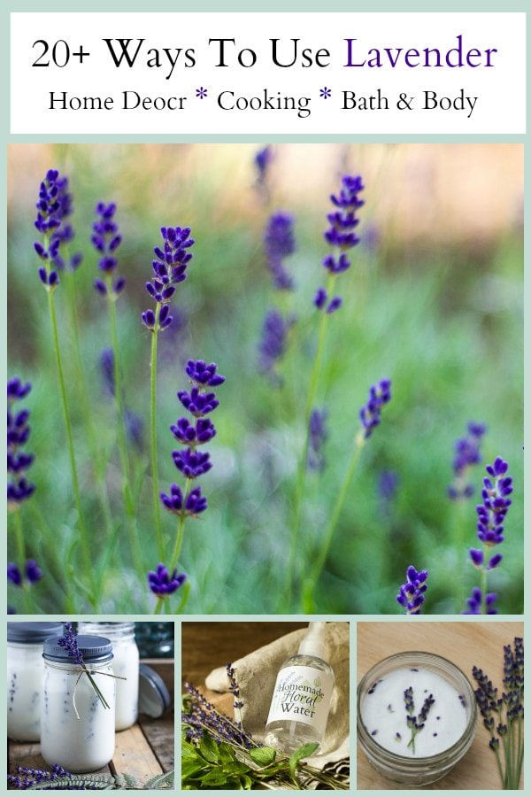 Lavender Uses In The Home You'll Want To Try Them All