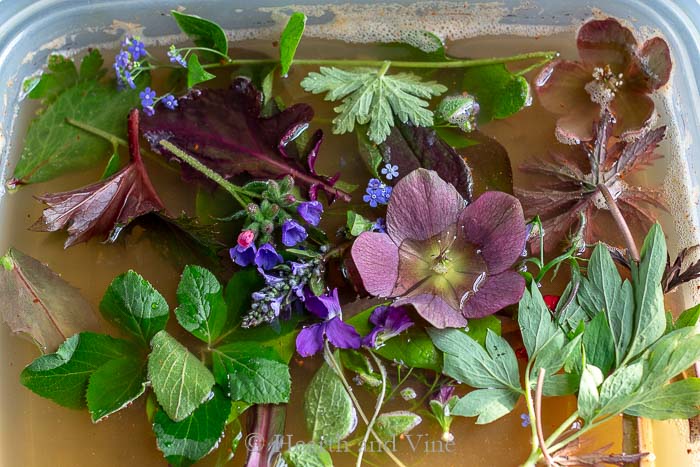 Flowers and leaves in rust water.